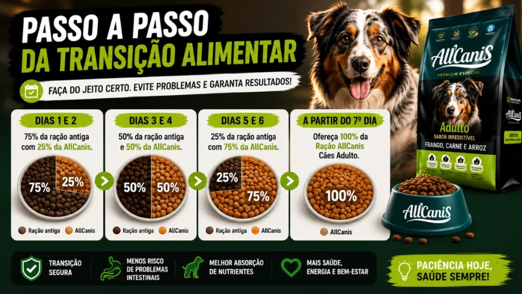 Guia de transição alimentar para cães