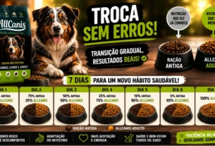 Ração AllCanis Cães Adulto como fazer a transição