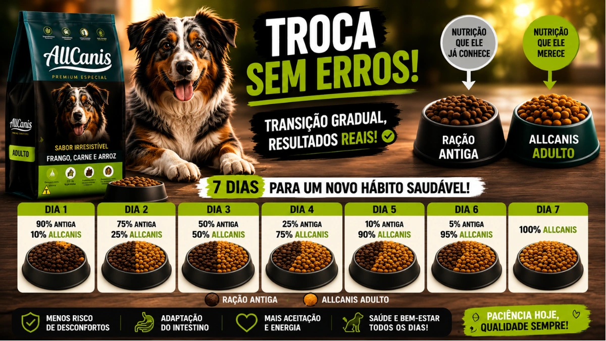 Ração AllCanis Cães Adulto como fazer a transição