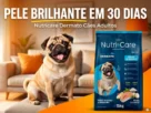 Nutricare Dermato Cães Adultos