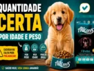 Ração para cachorro filhote: quantidade certa por idade e peso, destacando porções ideais, alimentação equilibrada e riscos do excesso