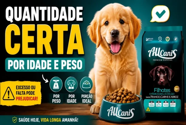 Ração para cachorro filhote: quantidade certa por idade e peso, destacando porções ideais, alimentação equilibrada e riscos do excesso